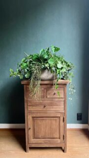 Arrangement van zijden planten 🪴 

🌱 geen water nodig
🌱 niet verpotten of bijvoeden
🌱 op elke plek te plaatsen
🌱 brengt rust en sfeer 
🌱gaat heel lang mee 
🌱 op maat gemaakt voor jou!
🌱 bij jou thuis of op je werkplek 

#zijdenplanten #zijdenplanteninhuis #zijdenplantenopkantoor #bloembezoek #rijen