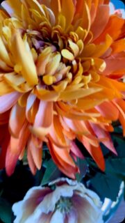 Prachtige mix van zijden bloemen in een hele mooie handgemaakte keramieken vaas. Bijzonder en handgeglazuurd. Een kleurencombinatie die zowel kleurrijk als stijlvol is. 

Ook dit stuk werd geheel op maat gemaakt en staat nu te pronken bij een blije eigenaar ☺️

#zijdenbloemen #zijdenbloemen #prachtigkeramiek #bloembezoek #rijen